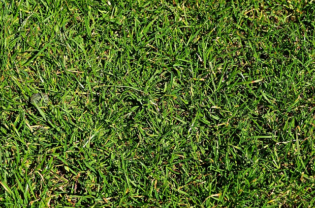 家时困难重